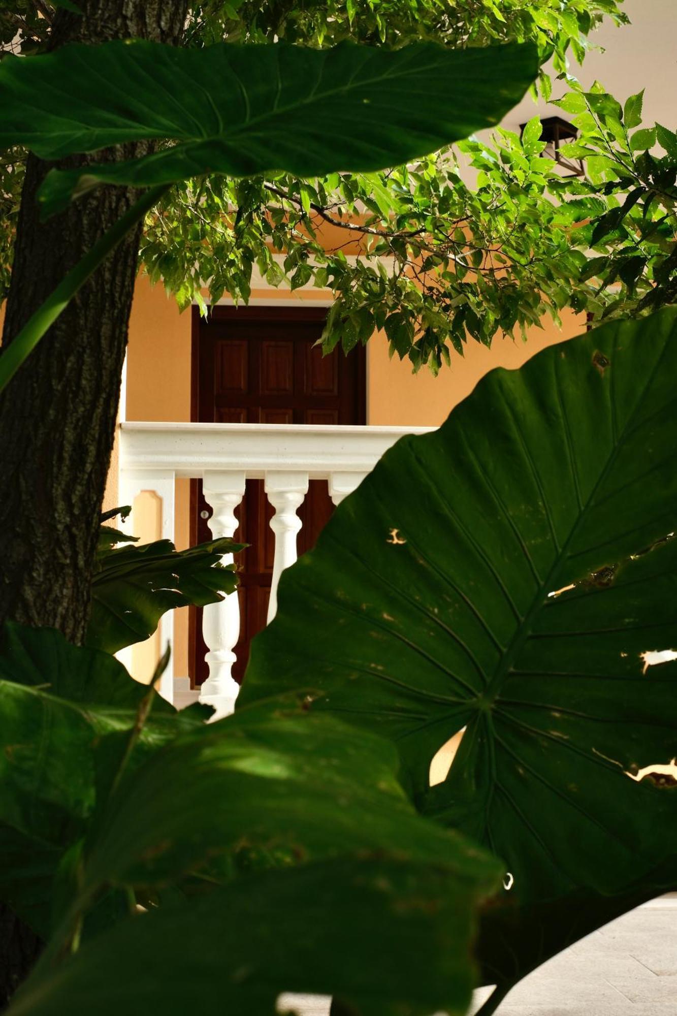 Domus Aurea Villa Alghero Ngoại thất bức ảnh