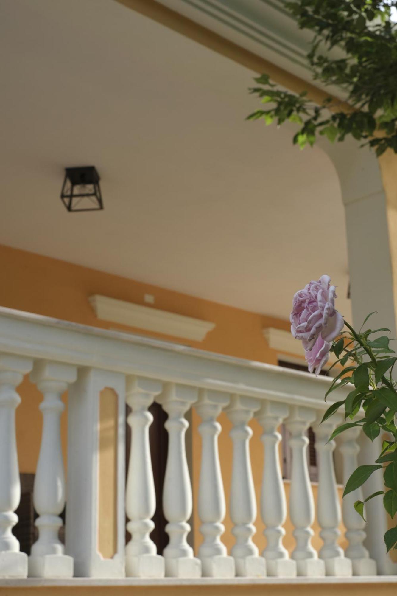 Domus Aurea Villa Alghero Ngoại thất bức ảnh